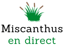 Miscanthusendirect